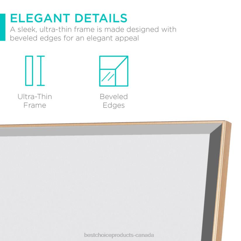 4LT2651 Gold Best Choice Products Large Full Length Mirror, Wall Hanging & Leaning Floor Mirror