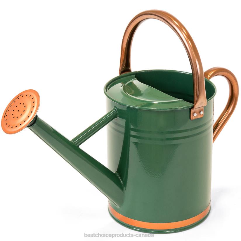 4LT2996 Green Best Choice Products 1-Gallon Galvanized Steel Watering Can w/ O-Ring, Top Handle