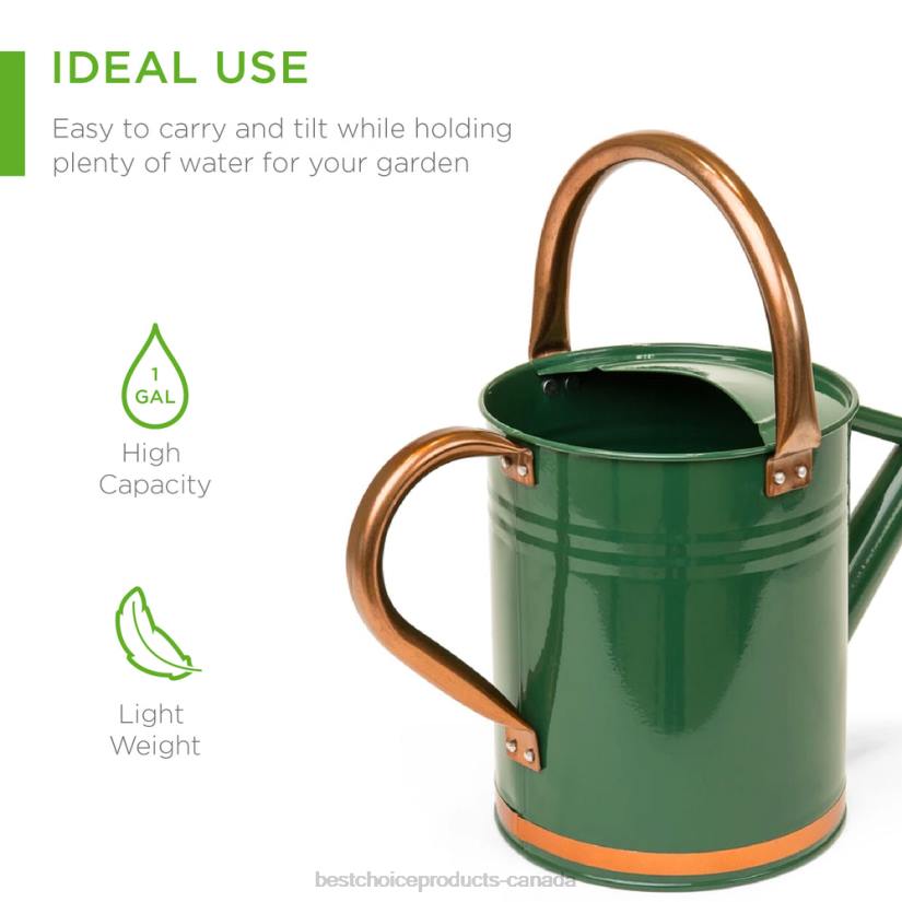 4LT2996 Green Best Choice Products 1-Gallon Galvanized Steel Watering Can w/ O-Ring, Top Handle
