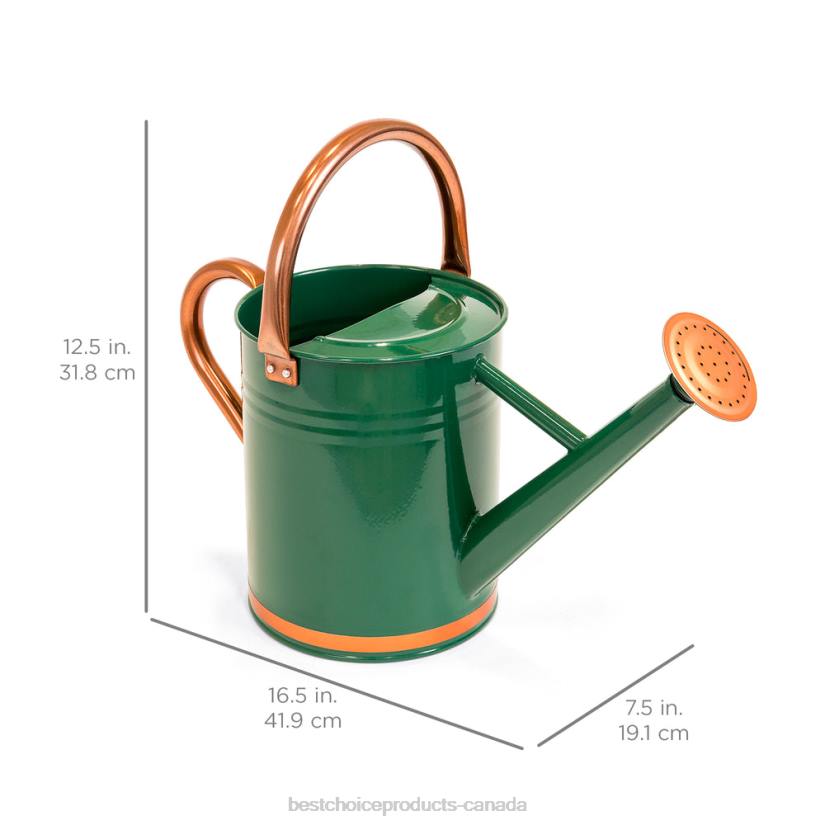 4LT2996 Green Best Choice Products 1-Gallon Galvanized Steel Watering Can w/ O-Ring, Top Handle