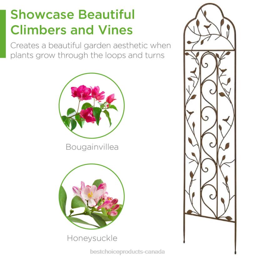 4LT2989 Black Best Choice Products Set of 2 Iron Arched Garden Trellis