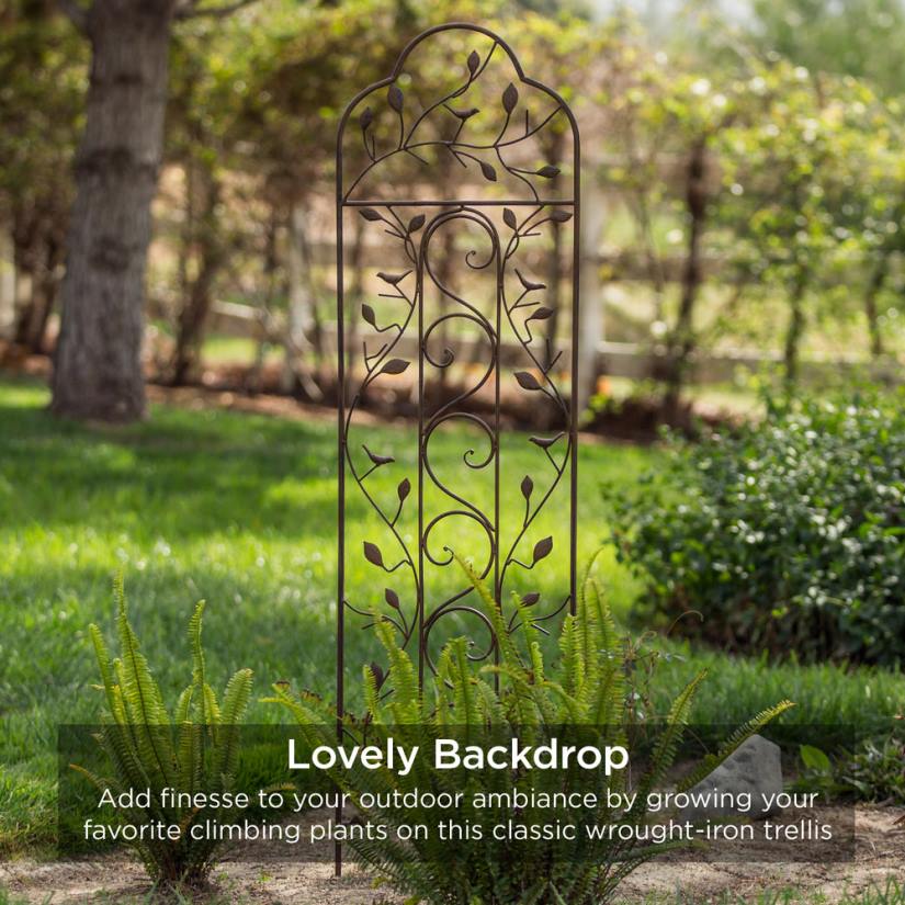 4LT2989 Black Best Choice Products Set of 2 Iron Arched Garden Trellis