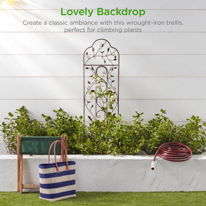 4LT2990 Bronze Best Choice Products Iron Arched Garden Trellis Fence Panel w/ Branches, Birds